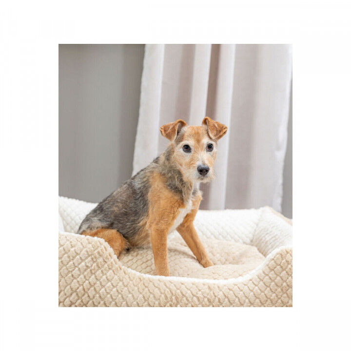 Dog Bed Trixie Kaline Mio Brown Cream 65 x 50 cm