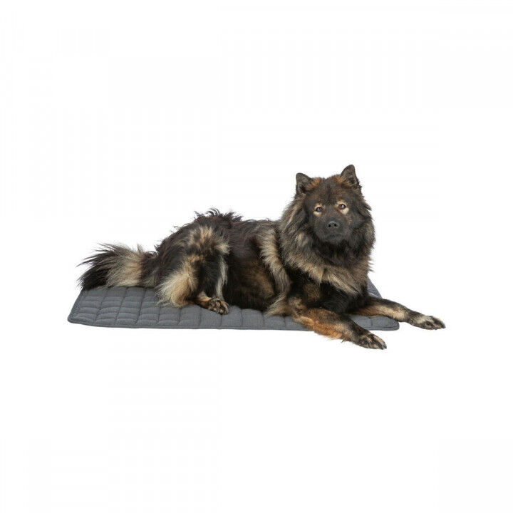 Airbed Trixie Dark grey 80 × 60 cm Dog