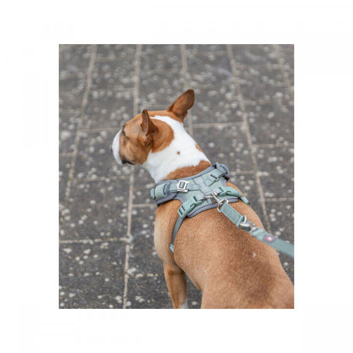 Imbracatura per Cani Trixie Premium FlexMesh XS/S
