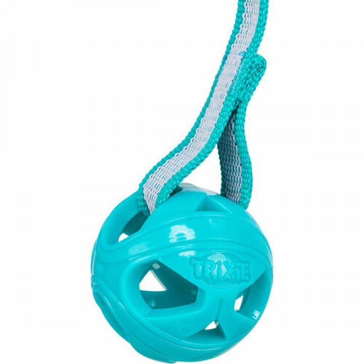 Pet Ball Trixie Turquoise TPE Ball ø 6 x 23 cm