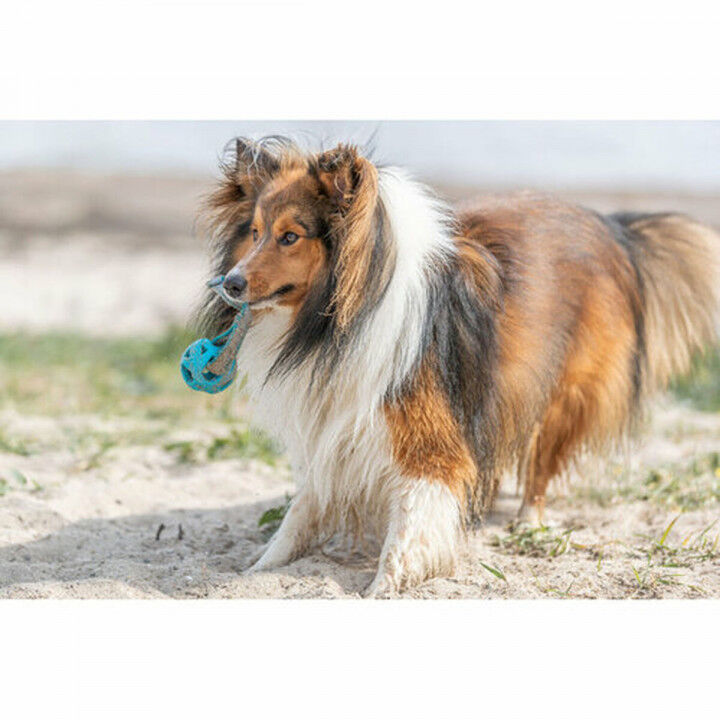 Pet Ball Trixie Turquoise TPE Ball ø 6 x 23 cm