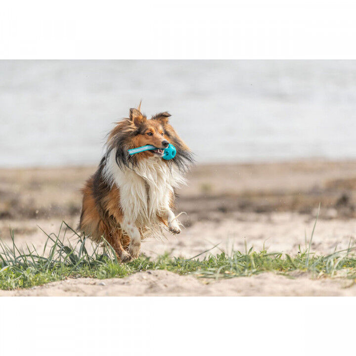 Boule pour animaux de compagnie Trixie Turquoise TPE Ballon ø 6 x 23 cm