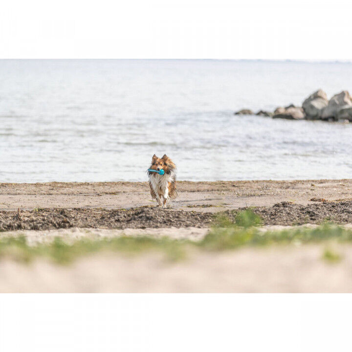 Pelota para Mascotas Trixie Turquesa TPE Bola ø 6 x 23 cm