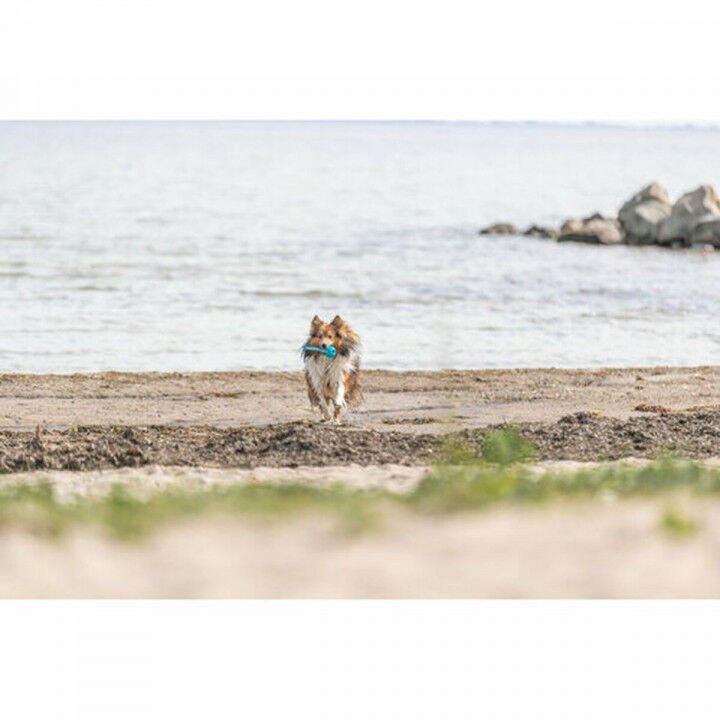 Pelota para Mascotas Trixie Turquesa TPE Bola ø 6 x 23 cm