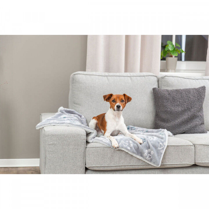 Pet blanket Trixie Jimmy Soft Light grey Polyester Plush 150 × 100 CM