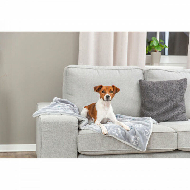 Pet blanket Trixie Jimmy Soft Light grey Polyester Plush 150 × 100 CM