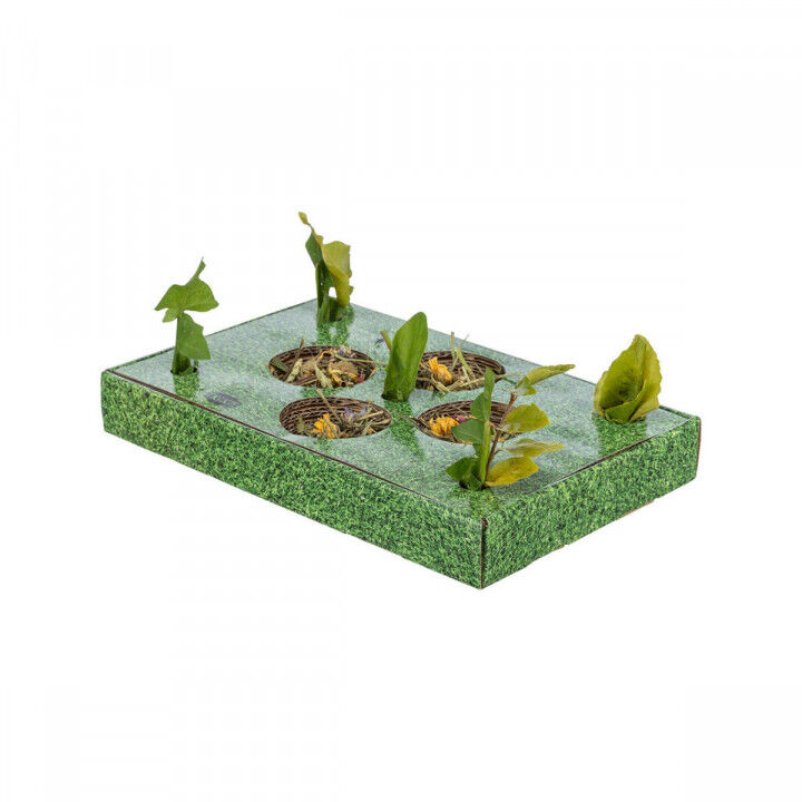 Bandeja de Aperitivos Trixie Verde Cartón 28 x 3,8 x 18 cm