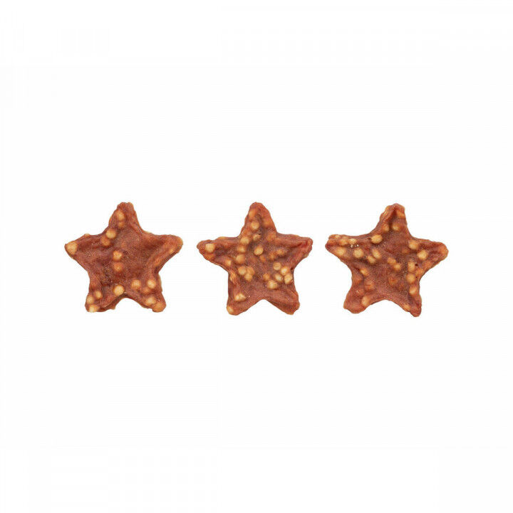 Snack voor honden Trixie Xmas Stars 100 g