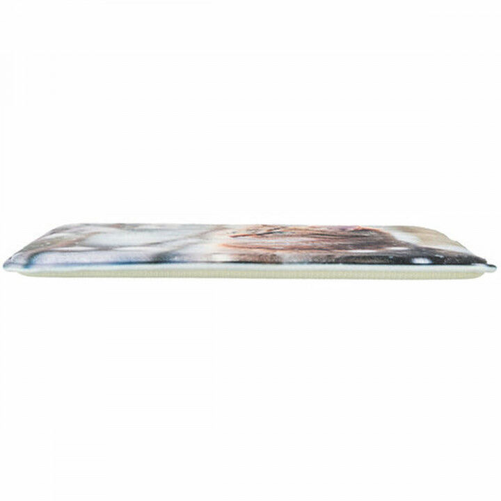 Matelas Trixie 40 x 30 cm Chat