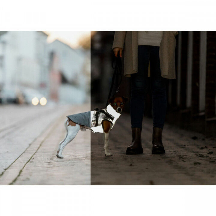 Abrigo para Perro Trixie Pontis Reflect Gris XXS