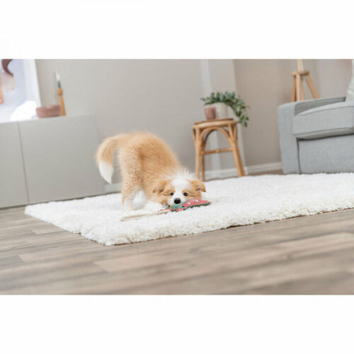 Soft toy for dogs Trixie