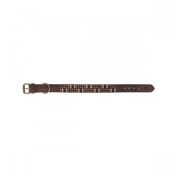 Collier pour Chien Trixie Rustic Brun foncé M