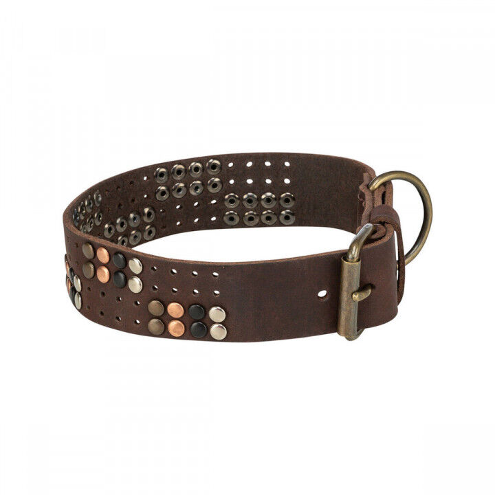 Collier pour Chien Trixie Rustic Brun foncé S-M