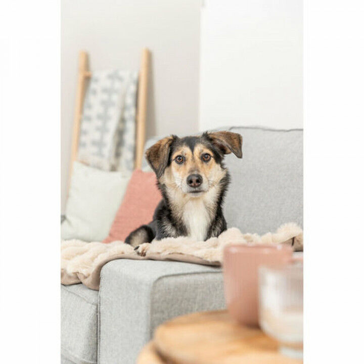 Huisdierendeken Trixie Elli Zand Polyester 70 × 50 cm