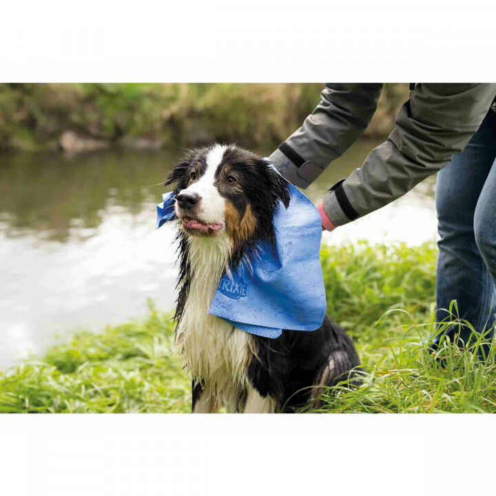 Asciugamano Trixie Azzurro 66 x 43 cm