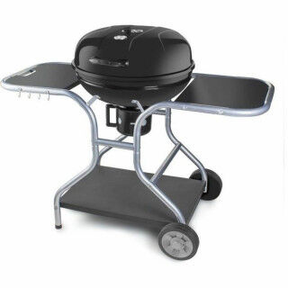 Barbecue Portatile Fieldmann FZG 1014 Metallo Acciaio