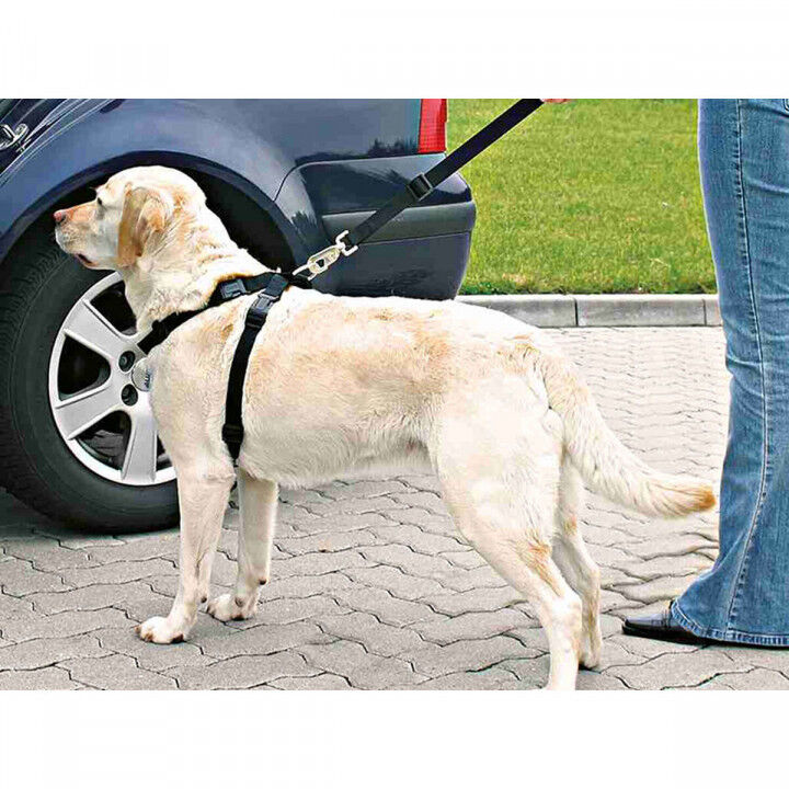 Dog Harness Trixie Black L