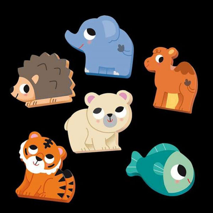 Set van 6 Puzzels Diset