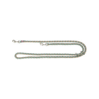 Laisse réglable pour chien Trixie Vert Sable S/M 2 m