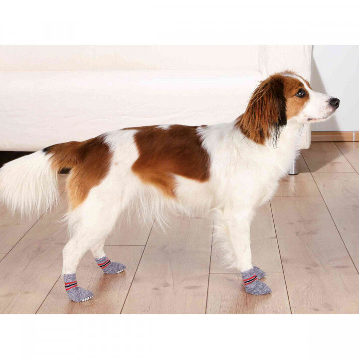 Socks Trixie Grey XL Dog