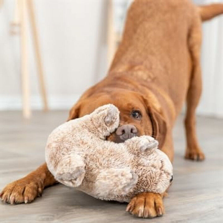 Peluche per cani Trixie Poliestere Stoffa Koala 25 cm