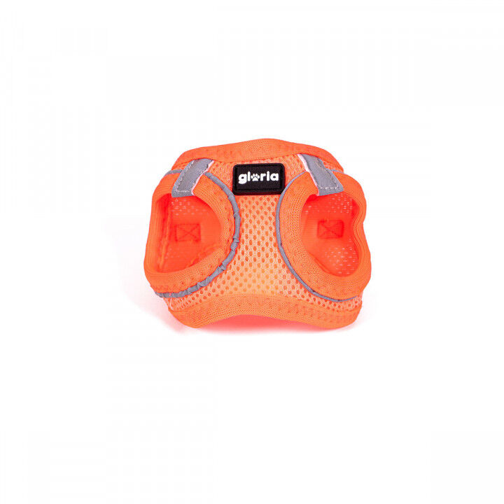 Imbracatura per Cani Gloria Trek Star 29,4-32,6 cm 41,4-43 cm Arancio S