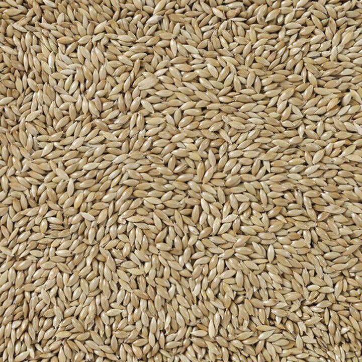 Bird food Deli Nature Premium 5 kg