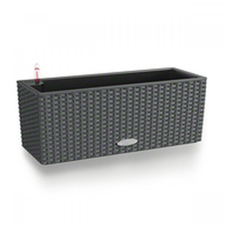 Plant pot Lechuza Black Grey polypropylene