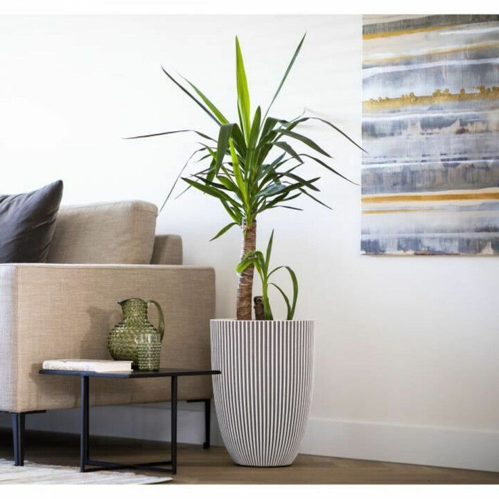 Vaso Capi Europe Plastica Rotondo