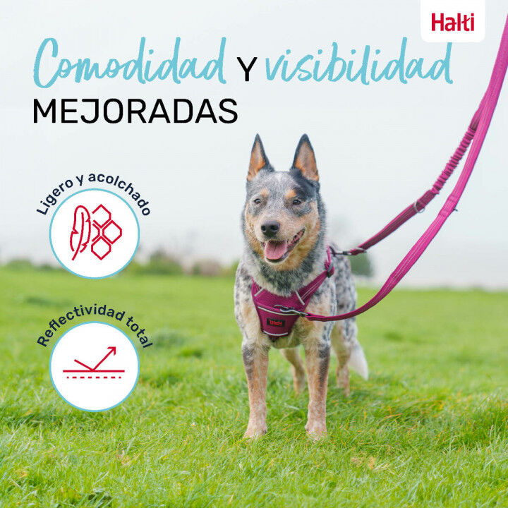Guinzaglio per Cani Company of Animals Bordeaux L