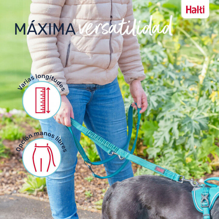 Laisse pour Chien Company of Animals Bordeaux L