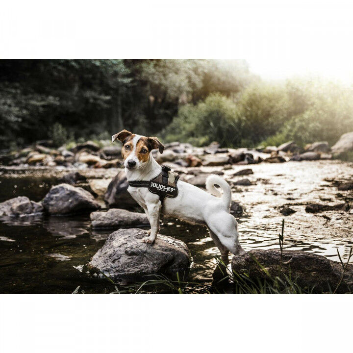 Hondentuigje Julius K9 Power M