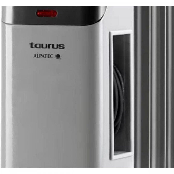 Olieradiator Taurus Dakar Grijs 2500 W (Refurbished A)