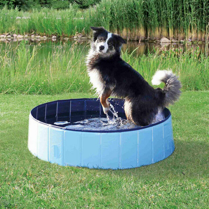 Dog Pool Trixie Blue Light Blue