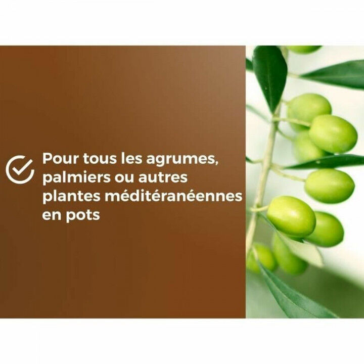 Potgrond OR BRUN 6 L Citrusvruchten