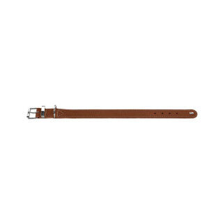 Collier pour Chien Hunter Aalborg Special Cognac 36-44 cm