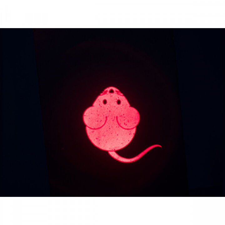 Laser Pointer Trixie