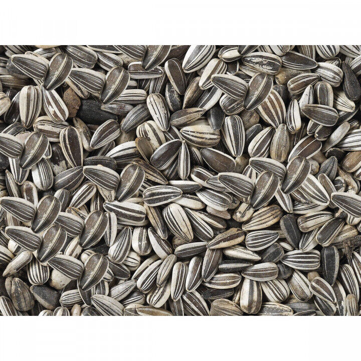 Nourriture pour oiseaux Deli Nature Premium 2,5 kg