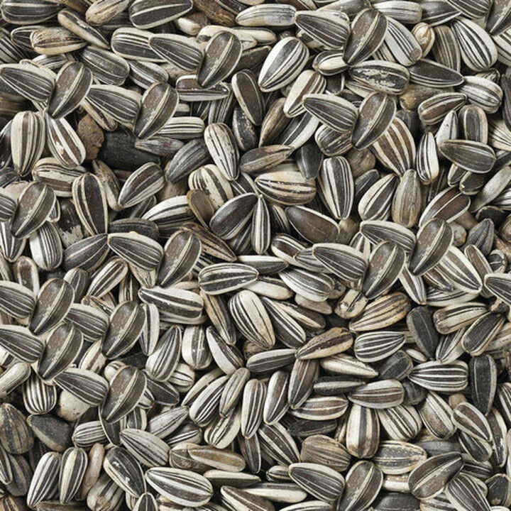 Comida para pájaros Deli Nature Premium 2,5 kg