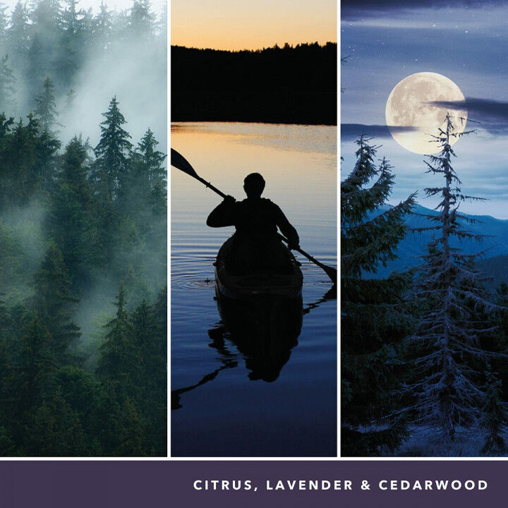 Bougie Parfumée Yankee Candle 1629968E