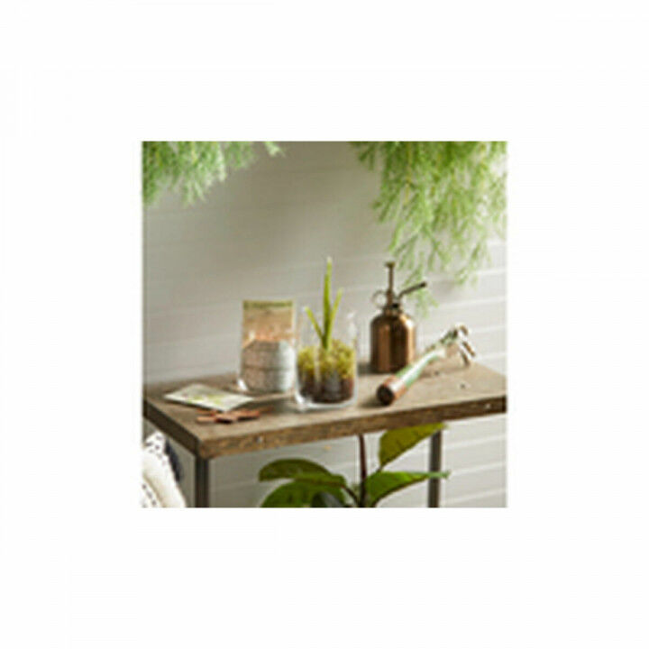 Bougie Parfumée Yankee Candle 1629970E