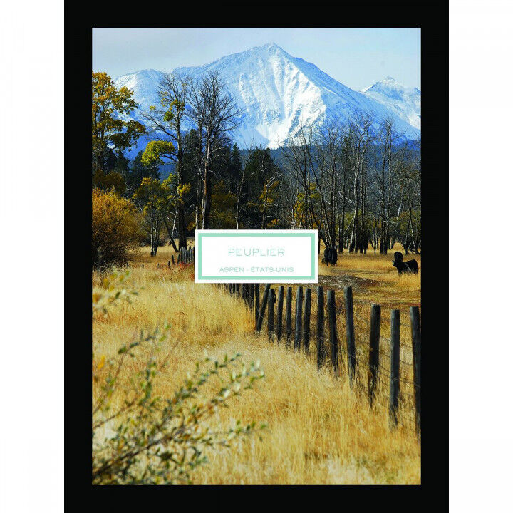 Bougie Parfumée Lalique