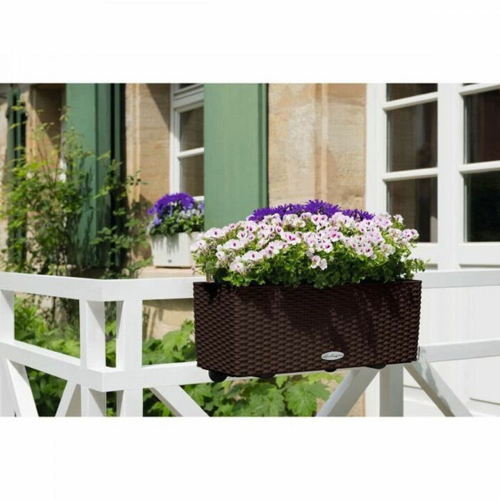 Plant pot Lechuza Brown Black polypropylene