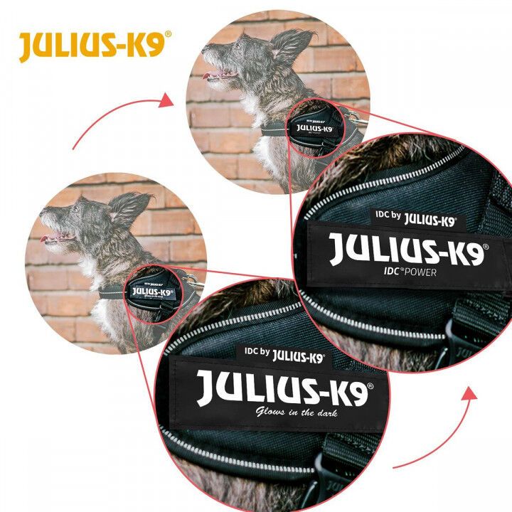 Hondentuigje Julius K9 IDC Zwart M