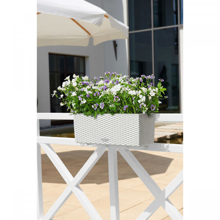 Bloempot Lechuza Wit Zwart Polypropyleen