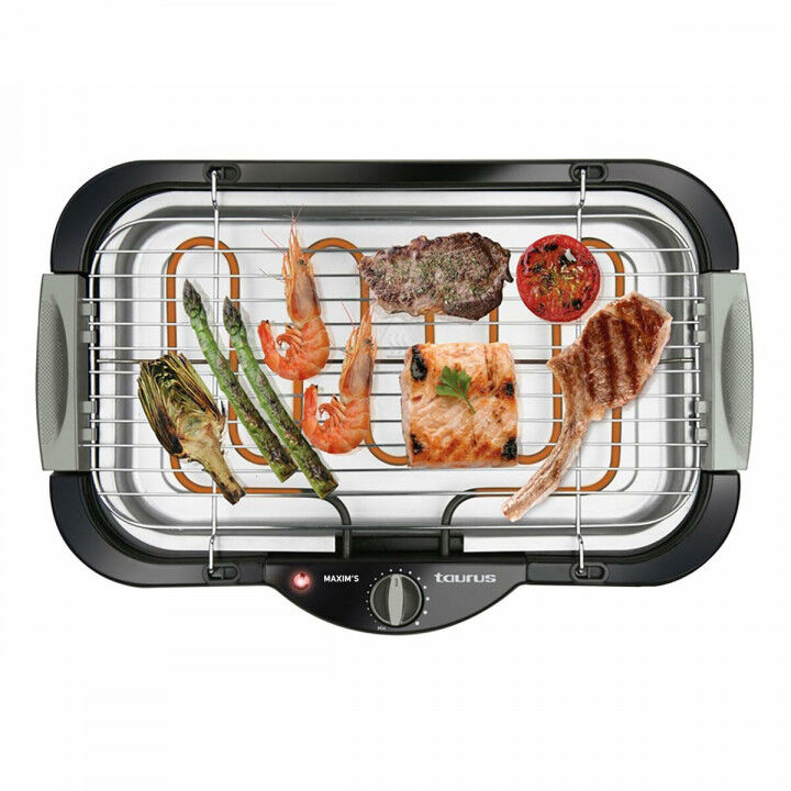 Grill Tragbarer Taurus MAXIMS 41 x 24 cm