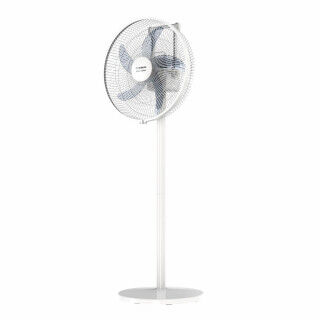 Freestanding Fan Taurus