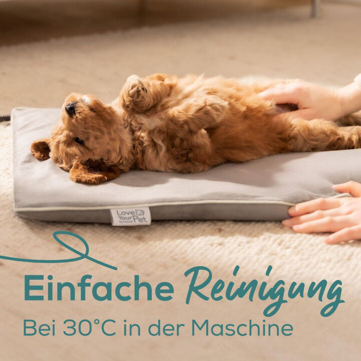 Letto elettrico per animali domestici Beurer PP210 LILLI Grigio Piccolo