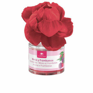 Désodorisant Cristalinas Flor Perfumada Framboise Mûre Fleur 40 ml