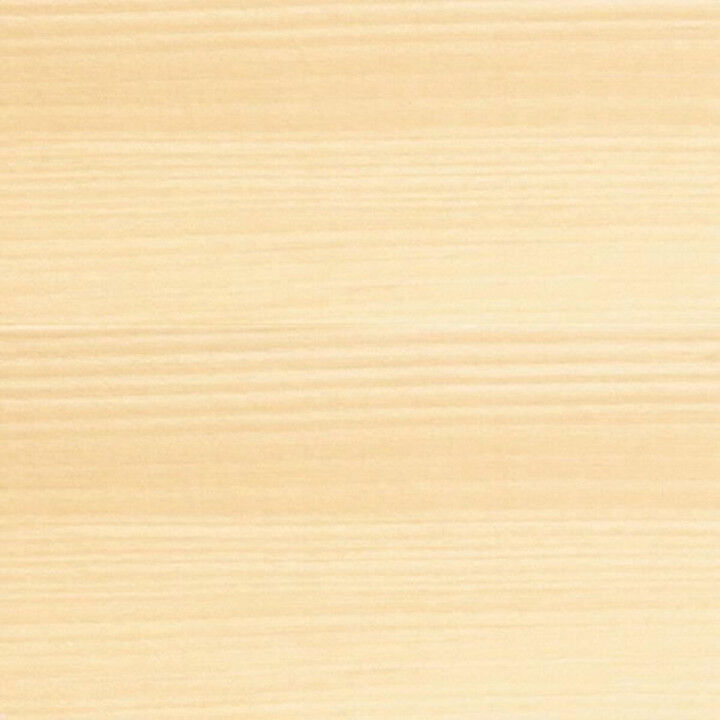 Primer Paint Bondex Satin finish 5 L Transparent